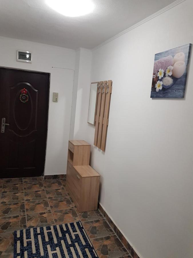 Ferienwohnung La Zoli - Apartament 1 Cam, Zona Freidorf Cu Parcare Publica Timişoara Exterior foto